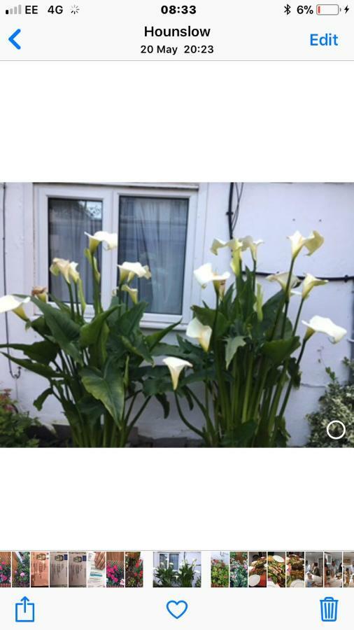 House Apartment เฮาน์สโลว์ ภายนอก รูปภาพ